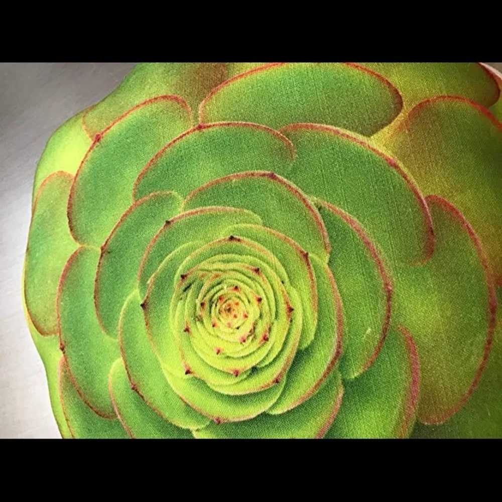 🆕 Fire Rosetta Succulent Linen Pillow